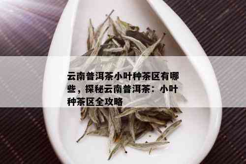 云南普洱茶小叶种茶区有哪些，探秘云南普洱茶：小叶种茶区全攻略