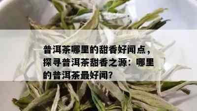 普洱茶哪里的甜香好闻点，探寻普洱茶甜香之源：哪里的普洱茶更好闻？