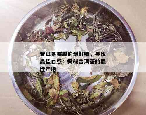 普洱茶哪里的更好喝，寻找更佳口感：揭秘普洱茶的更佳产地