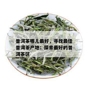 普洱茶哪儿更好，寻找更佳普洱茶产地：探索更好的普洱茶区