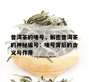 普洱茶的唛号，解密普洱茶的神秘编号：唛号背后的含义与作用