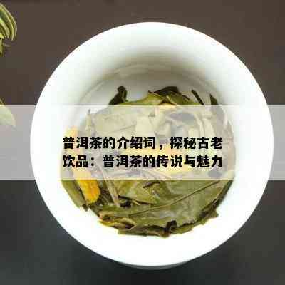 普洱茶的介绍词，探秘古老饮品：普洱茶的传说与魅力