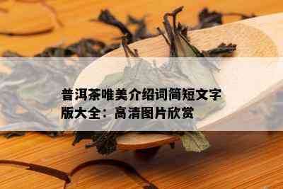 普洱茶唯美介绍词简短文字版大全：高清图片欣赏