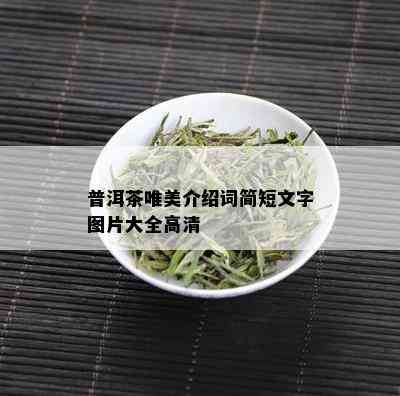 普洱茶唯美介绍词简短文字图片大全高清