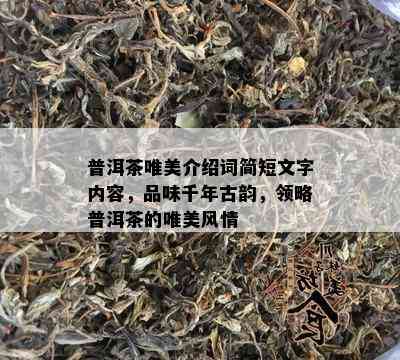 普洱茶唯美介绍词简短文字内容，品味千年古韵，领略普洱茶的唯美风情