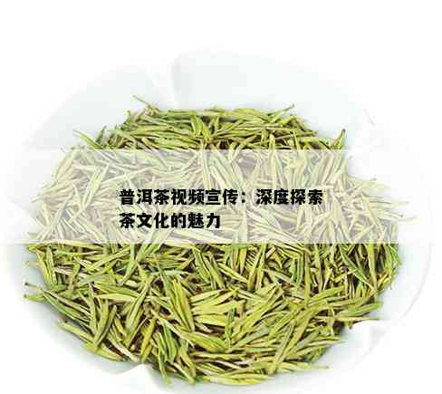 普洱茶视频宣传：深度探索茶文化的魅力