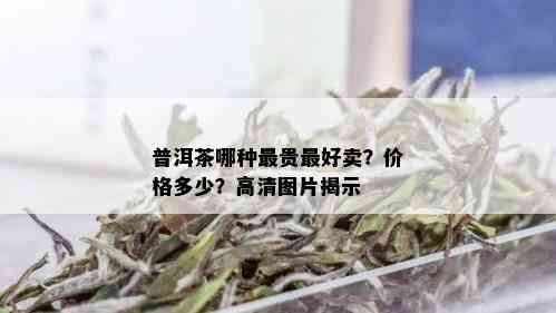 普洱茶哪种最贵更好卖？价格多少？高清图片揭示