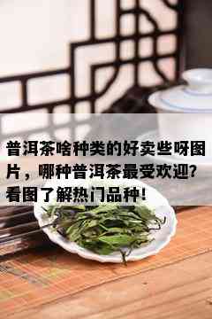 普洱茶啥种类的好卖些呀图片，哪种普洱茶更受欢迎？看图了解热门品种！