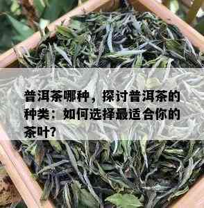 普洱茶哪种，探讨普洱茶的种类：如何选择最适合你的茶叶？