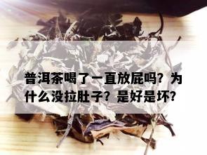 普洱茶喝了一直放屁吗？为什么没拉肚子？是好是坏？