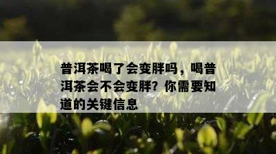 普洱茶喝了会变胖吗，喝普洱茶会不会变胖？你需要知道的关键信息