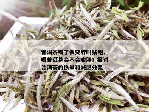 普洱茶喝了会变胖吗贴吧，喝普洱茶会不会变胖？探讨普洱茶的热量和减肥效果