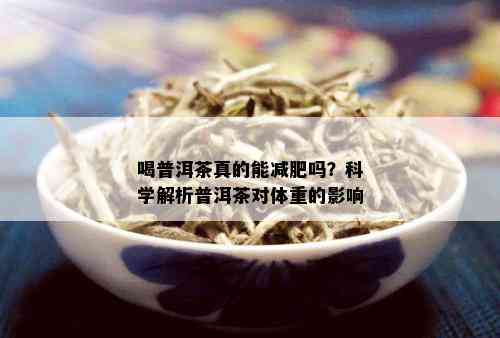 喝普洱茶真的能减肥吗？科学解析普洱茶对体重的影响