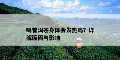 喝普洱茶身体会发热吗？详解原因与影响