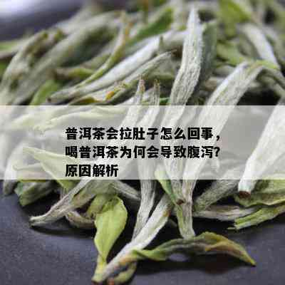 普洱茶会拉肚子怎么回事，喝普洱茶为何会导致腹泻？原因解析