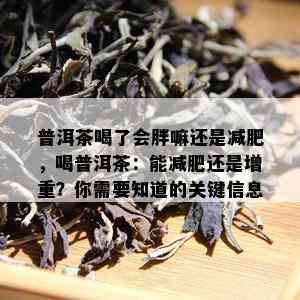 普洱茶喝了会胖嘛还是减肥，喝普洱茶：能减肥还是增重？你需要知道的关键信息