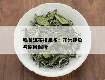 喝普洱茶排尿多：正常现象与原因解析