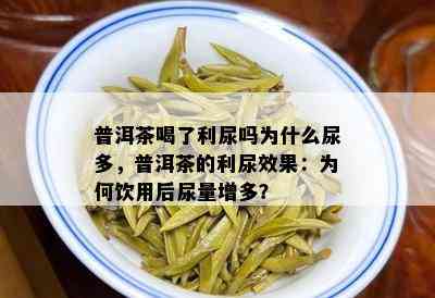 普洱茶喝了利尿吗为什么尿多，普洱茶的利尿效果：为何饮用后尿量增多？