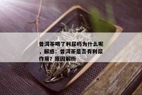 普洱茶喝了利尿吗为什么呢，解惑：普洱茶是否有利尿作用？原因解析