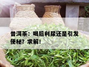 普洱茶：喝后利尿还是引发便秘？求解！