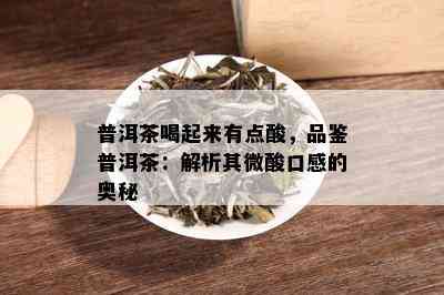 普洱茶喝起来有点酸，品鉴普洱茶：解析其微酸口感的奥秘