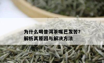 为什么喝普洱茶嘴巴发苦？解析其原因与解决方法