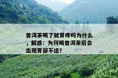 普洱茶喝了就胃疼吗为什么，解惑：为何喝普洱茶后会出现胃部不适？