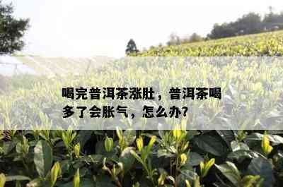 喝完普洱茶涨肚，普洱茶喝多了会胀气，怎么办？