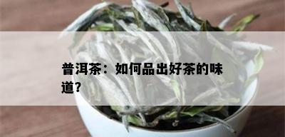 普洱茶：如何品出好茶的味道？