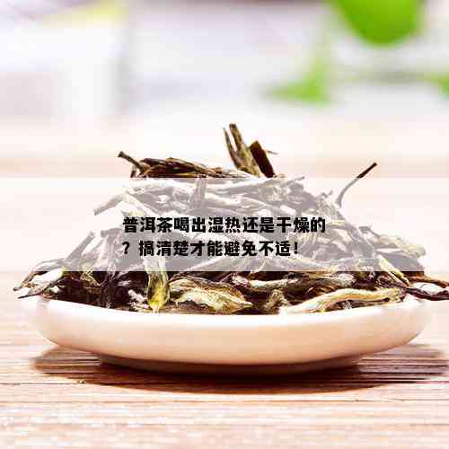 普洱茶喝出湿热还是干燥的？搞清楚才能避免不适！