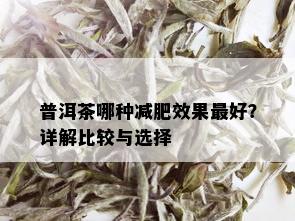 普洱茶哪种减肥效果更好？详解比较与选择