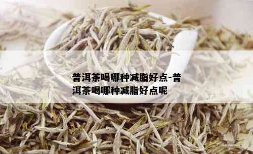 普洱茶喝哪种减脂好点-普洱茶喝哪种减脂好点呢