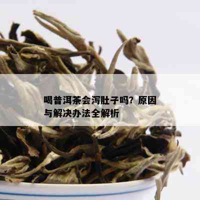 喝普洱茶会泻肚子吗？原因与解决办法全解析