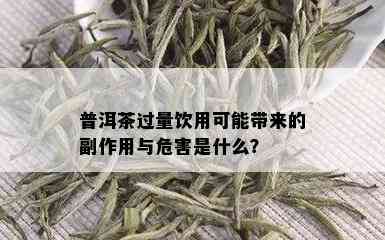 普洱茶过量饮用可能带来的副作用与危害是什么？