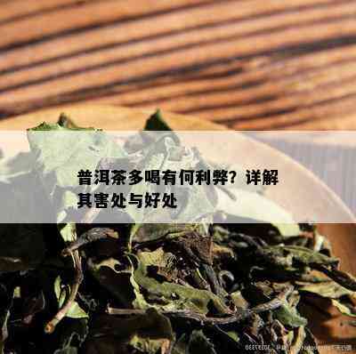 普洱茶多喝有何利弊？详解其害处与好处