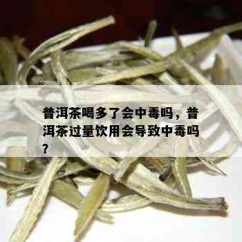 普洱茶喝多了会中吗，普洱茶过量饮用会导致中吗？