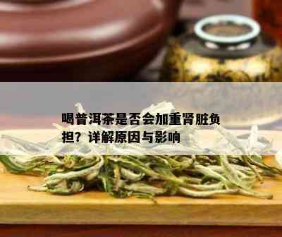 喝普洱茶是否会加重肾脏负担？详解原因与影响