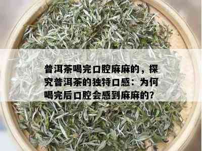 普洱茶喝完口腔麻麻的，探究普洱茶的独特口感：为何喝完后口腔会感到麻麻的？