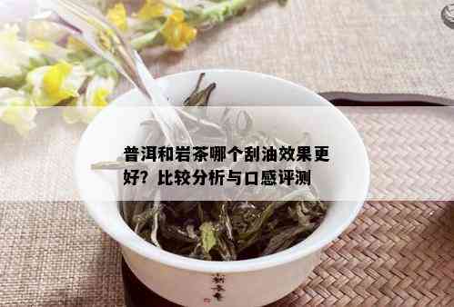 普洱和岩茶哪个刮油效果更好？比较分析与口感评测