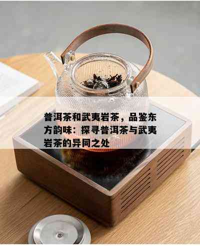 普洱茶和武夷岩茶，品鉴东方韵味：探寻普洱茶与武夷岩茶的异同之处