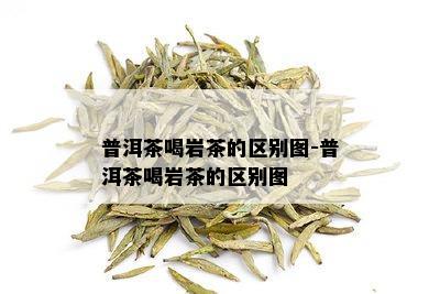 普洱茶喝岩茶的区别图-普洱茶喝岩茶的区别图