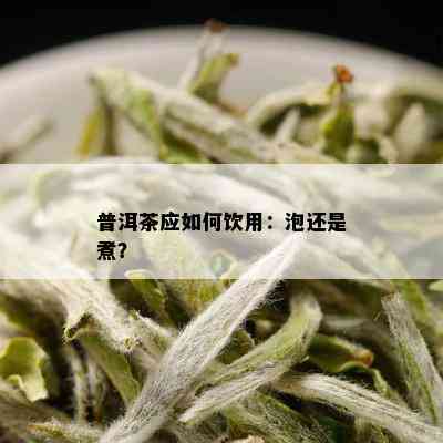 普洱茶应如何饮用：泡还是煮？