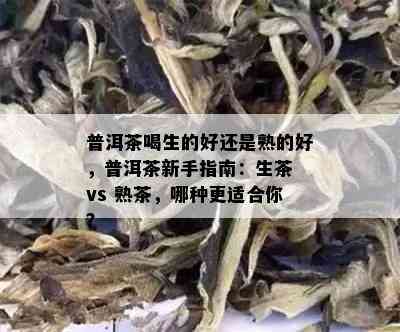 普洱茶喝生的好还是熟的好，普洱茶新手指南：生茶 vs 熟茶，哪种更适合你？