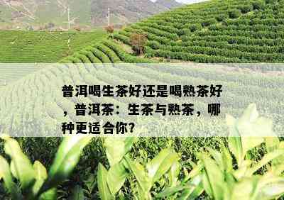 普洱喝生茶好还是喝熟茶好，普洱茶：生茶与熟茶，哪种更适合你？