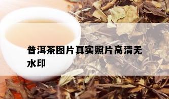 普洱茶图片真实照片高清无水印