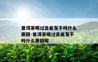 普洱茶喝过舌底发干吗什么原因-普洱茶喝过舌底发干吗什么原因呢