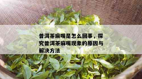 普洱茶麻嘴是怎么回事，探究普洱茶麻嘴现象的原因与解决方法