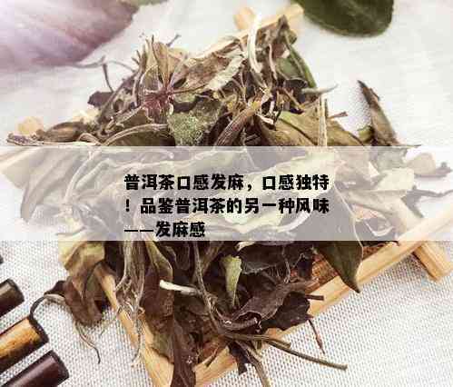 普洱茶口感发麻，口感独特！品鉴普洱茶的另一种风味——发麻感