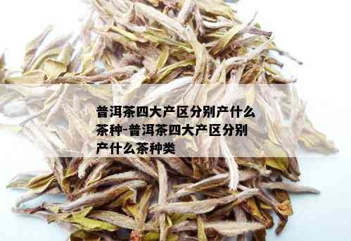 普洱茶四大产区分别产什么茶种-普洱茶四大产区分别产什么茶种类