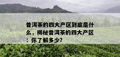 普洱茶的四大产区到底是什么，揭秘普洱茶的四大产区：你了解多少？